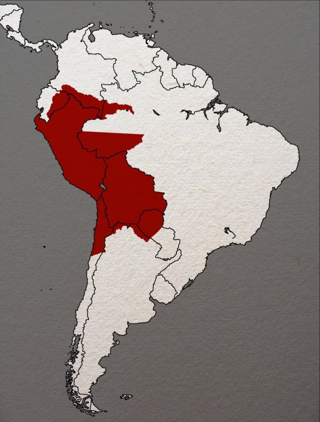 The Peru-Bolivian Confederation: The Forgotten South American Power – One  Page Stories